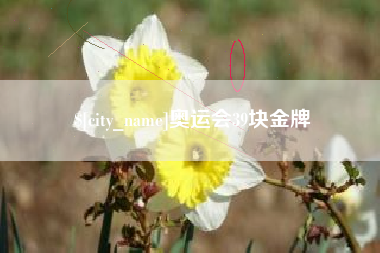 高安奥运会39块金牌