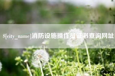 高安消防设施操作员证书查询网址