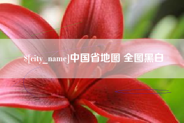 高安中国省地图 全图黑白
