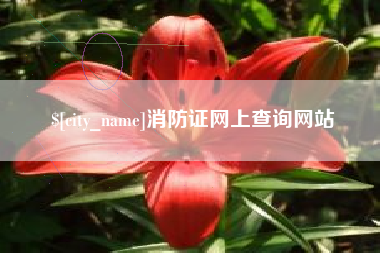 高安消防证网上查询网站