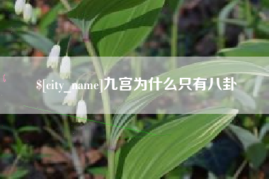 高安九宫为什么只有八卦