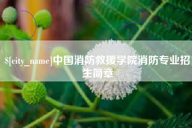 高安中国消防救援学院消防专业招生简章