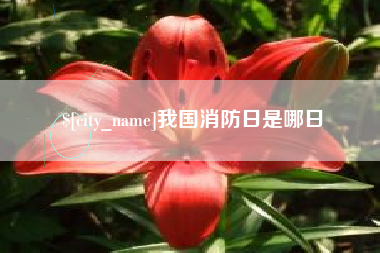 高安我国消防日是哪日