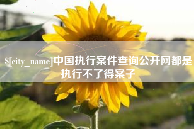 高安中国执行案件查询公开网都是执行不了得案子