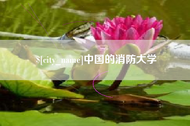 高安中国的消防大学