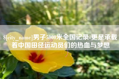高安男子5000米全国记录-更是承载着中国田径运动员们的热血与梦想