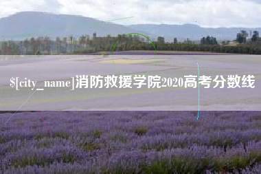 高安消防救援学院2020高考分数线