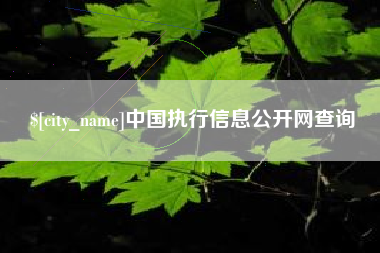 高安中国执行信息公开网查询