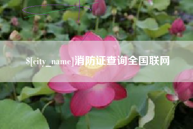 高安消防证查询全国联网