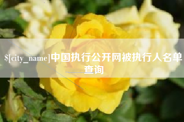 高安中国执行公开网被执行人名单查询