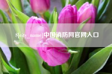高安中国消防网官网入口
