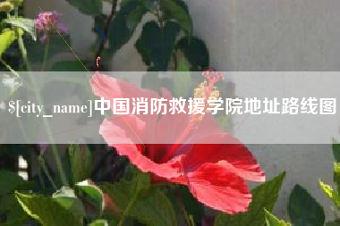 高安中国消防救援学院地址路线图