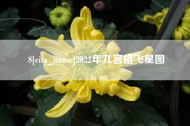 高安2022年九宫格飞星图