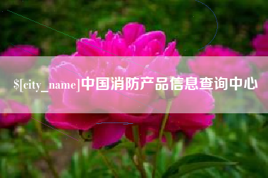 高安中国消防产品信息查询中心