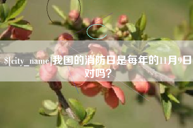 高安我国的消防日是每年的11月9日对吗？
