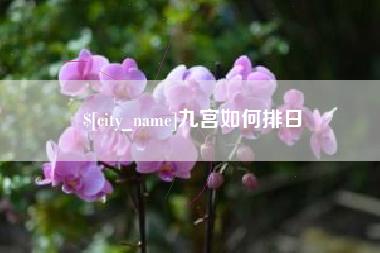 高安九宫如何排日