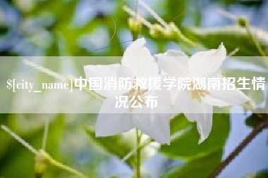 高安中国消防救援学院湖南招生情况公布