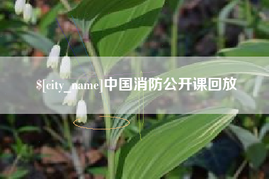 高安中国消防公开课回放
