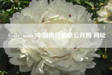 高安中国执行信息公开网 网址