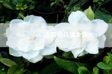 高安中国的几块金牌2021