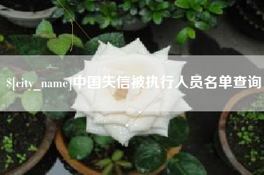 高安中国失信被执行人员名单查询