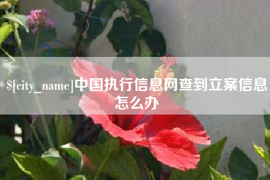 高安中国执行信息网查到立案信息怎么办