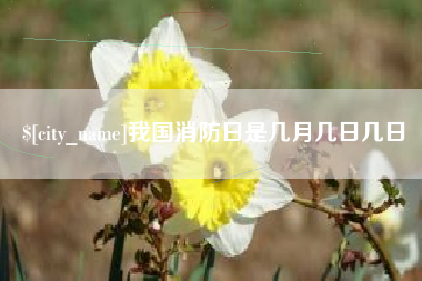 高安我国消防日是几月几日几日