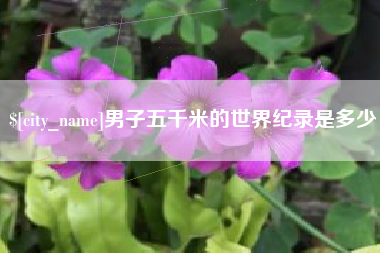 高安男子五千米的世界纪录是多少