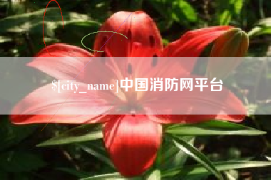 高安中国消防网平台