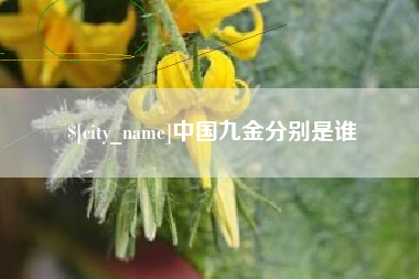 高安中国九金分别是谁
