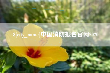 高安中国消防报名官网2020