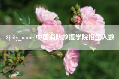 高安中国消防救援学院招生人数