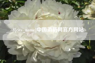 高安中国消防网官方网站