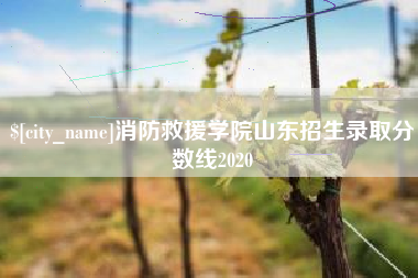 高安消防救援学院山东招生录取分数线2020