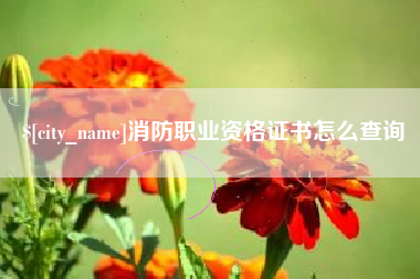 高安消防职业资格证书怎么查询