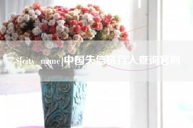 高安中国失信执行人查询官网