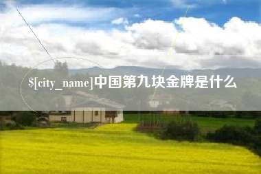 高安中国第九块金牌是什么