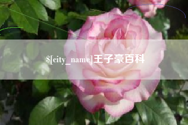 高安王子豪百科
