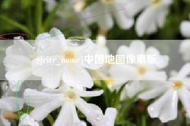 高安中国地图像素版