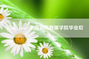 高安中国消防救援学院毕业后