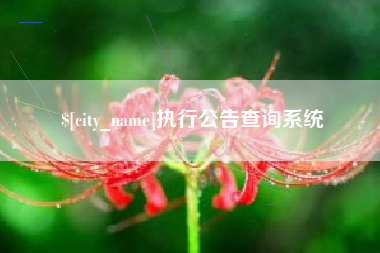 高安执行公告查询系统