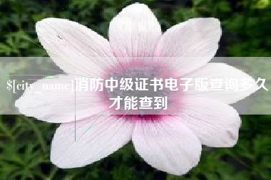高安消防中级证书电子版查询多久才能查到