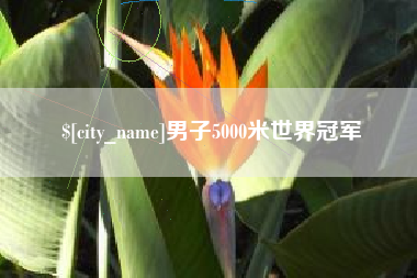 高安男子5000米世界冠军