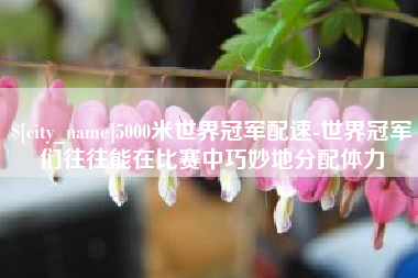 高安5000米世界冠军配速-世界冠军们往往能在比赛中巧妙地分配体力