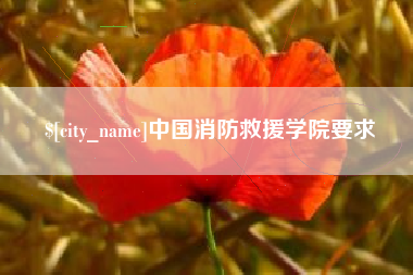 高安中国消防救援学院要求