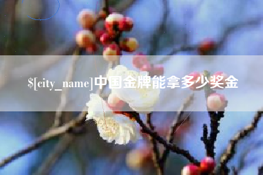 高安中国金牌能拿多少奖金