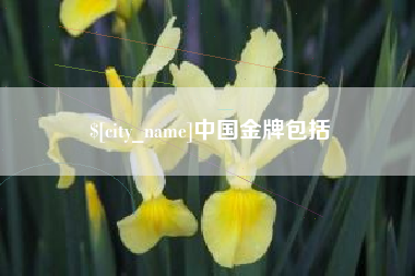 高安中国金牌包括