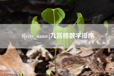高安九宫格数字排序
