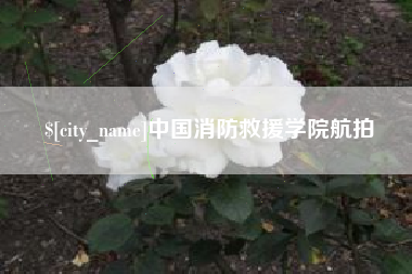 高安中国消防救援学院航拍