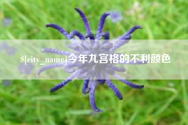 高安今年九宫格的不利颜色